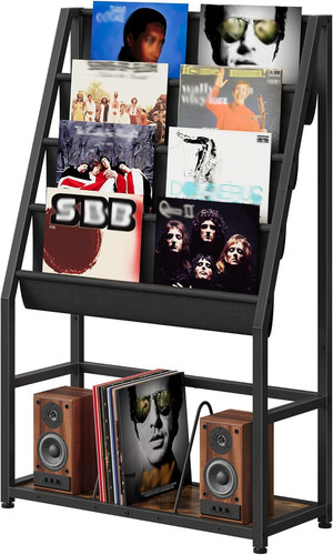 Tier vinyl record - tier, storage